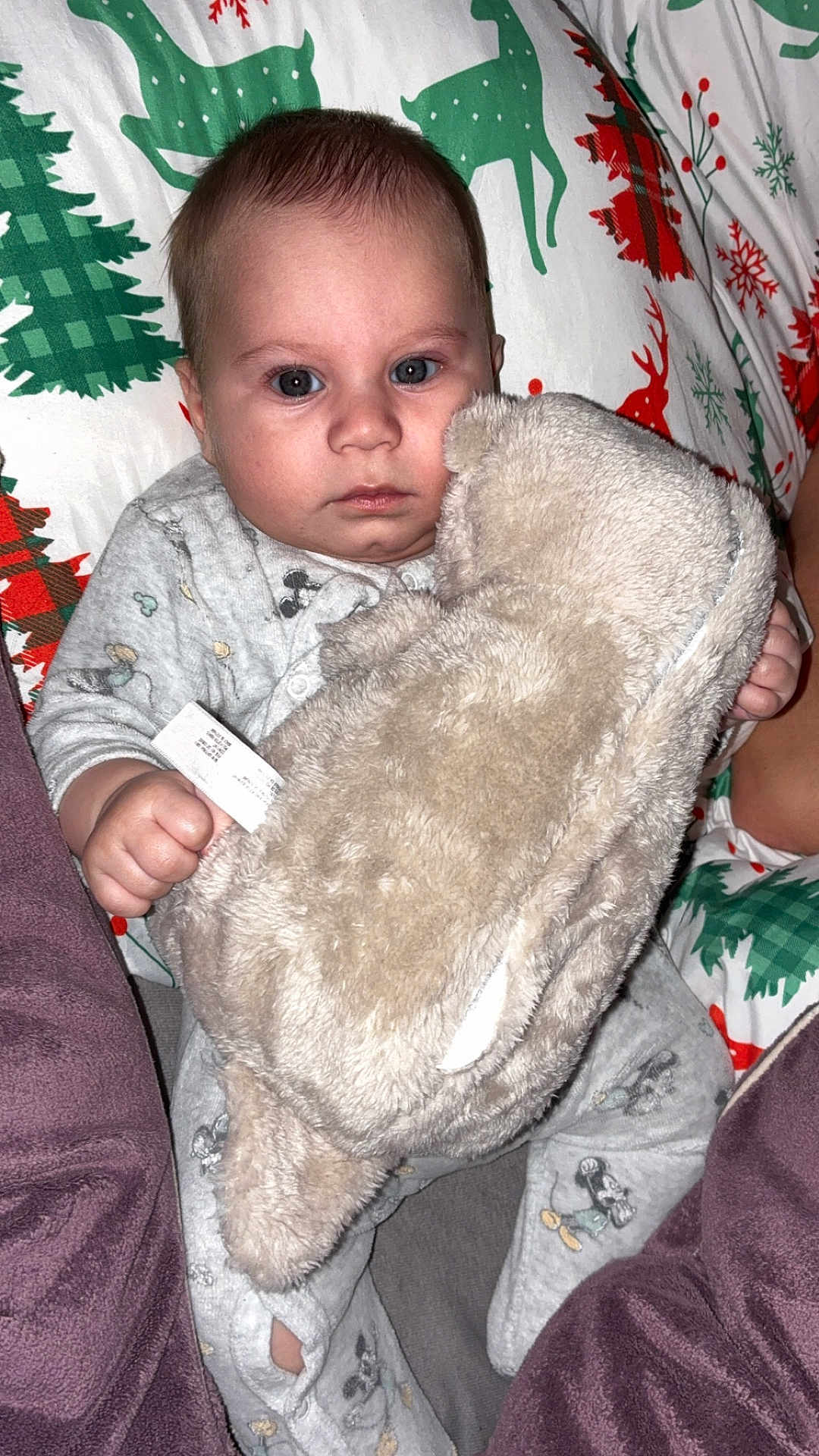 Kaylon participe au concours pour gagner de l'argent avec cette photo : baby, child, stuffed_animal, plush_toy, blanket, holiday_theme, christmas_pattern, reindeer, pine_tree, pajamas, mickey_mouse, face, person, indoor, cute, cozy, soft_toy, infant, sitting, expression