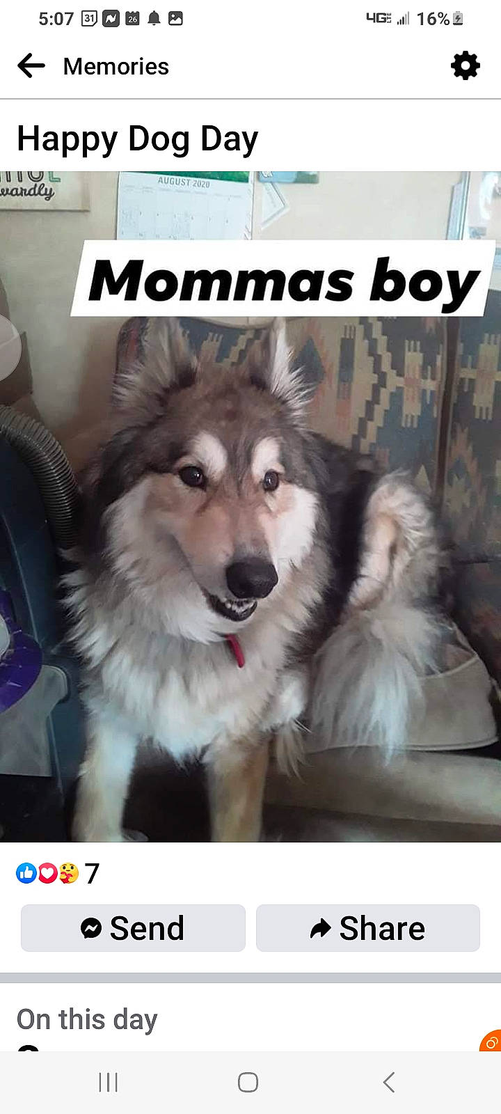 Phoenix joined the competition — help win amazing prizes! carnivore, companion_dog, dog, dog_breed, dog_supply, door, font, fur, happy, pet_supply, photo_caption, recreation, rectangle, screenshot, sharing, smile, snapshot, snout, sporting_group, working_dog