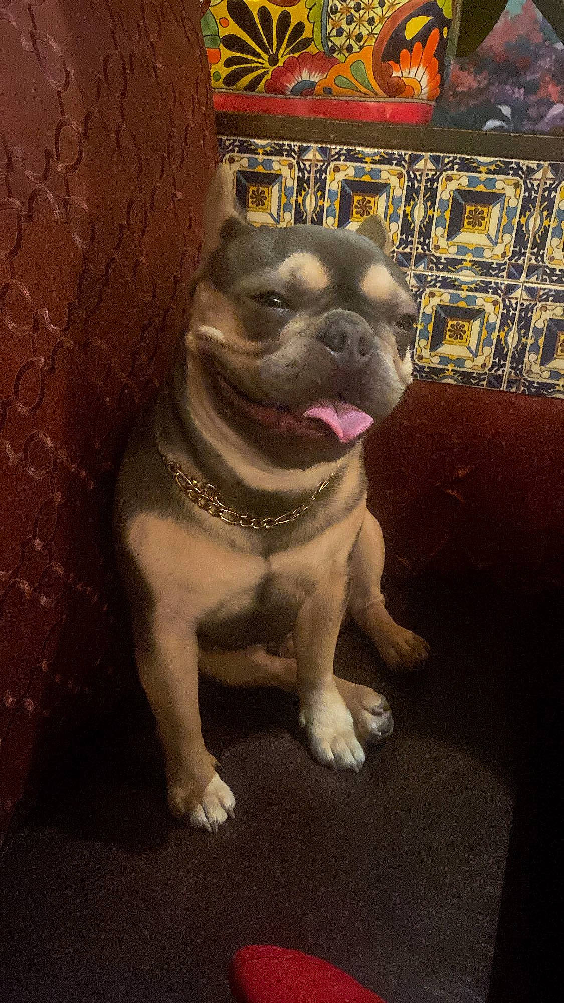 Loki joined the competition — help win amazing prizes! ancient_dog_breeds, bulldog, canidae, carnivore, companion_dog, dog, dog_breed, fawn, flooring, molosser, non_sporting_group, pug, snout, sporting_group, terrestrial_animal, toy_dog, whiskers, working_animal, wrinkle