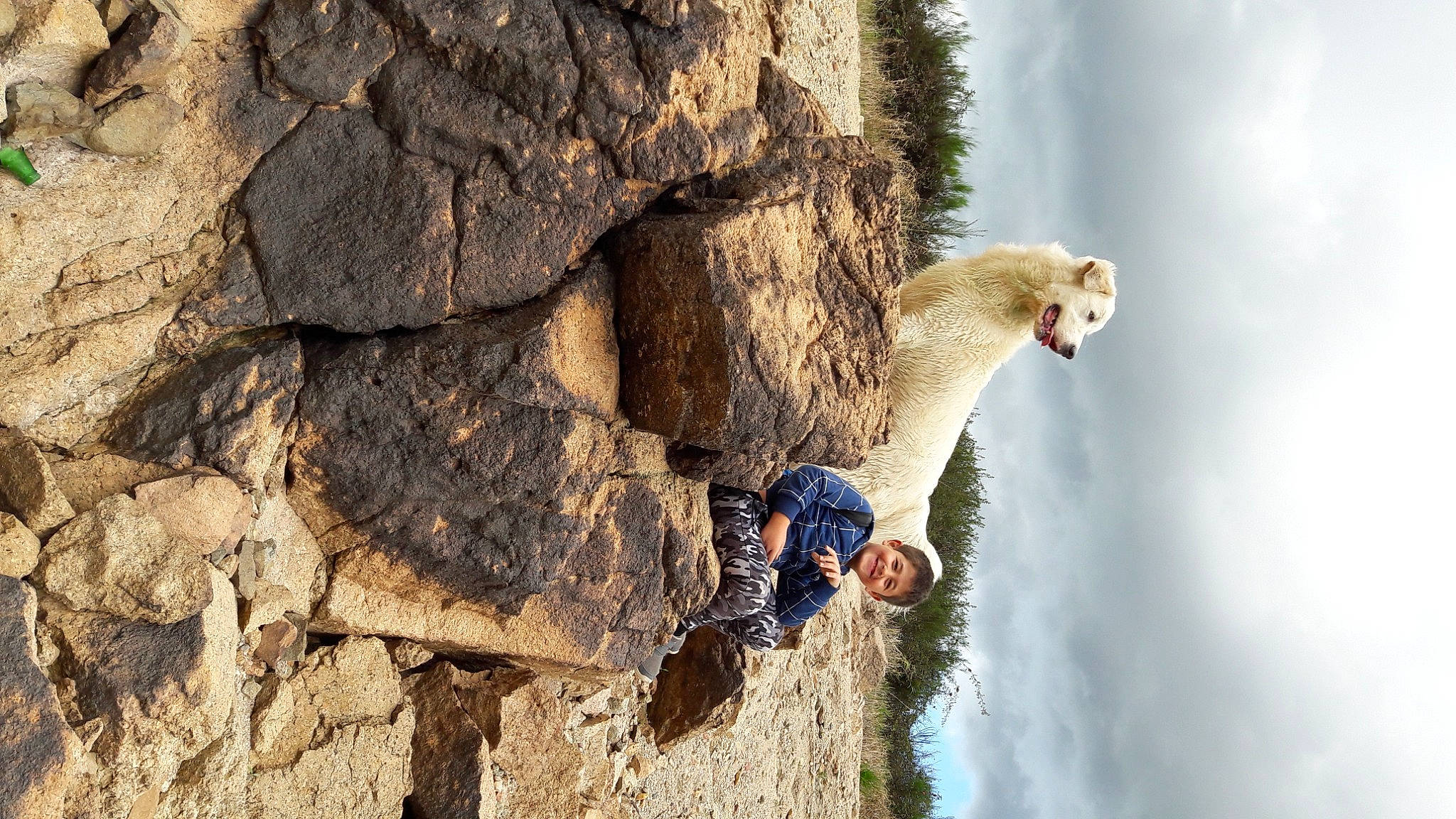 Montana participe au concours pour gagner de l'argent avec cette photo : _geese_and_swans, adventure, beak, bedrock, bird, cloud, ducks, formation, leisure, mountaineer, people_in_nature, plant, recreation, rock, seabird, sky, sport_climbing, tree, trunk, wing
