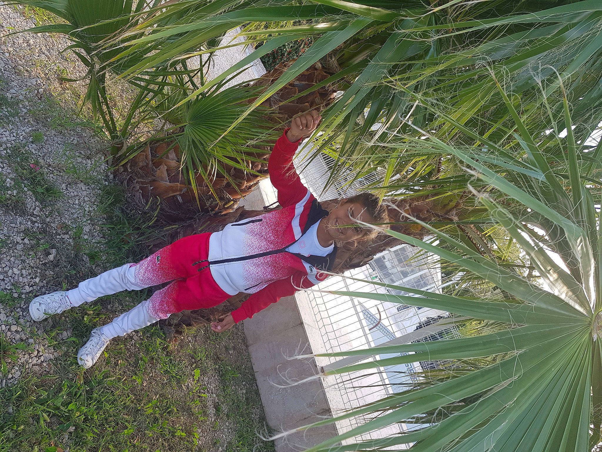 Hillary a rejoint le concours — aidez-le/la à gagner de superbes lots ! arecales, botany, elaeis, palm_tree, person, plant, terrestrial_plant, tree