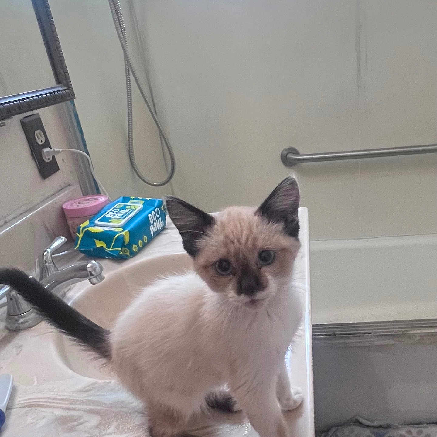 Georgie