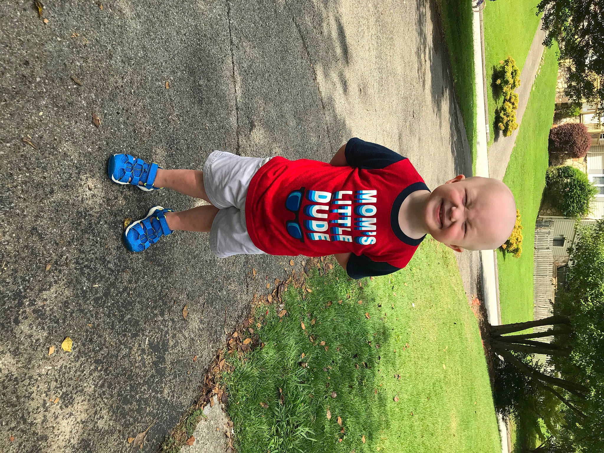 Brayden is registered to the contest to win money with this photo: fun, joy, person, plant, tree