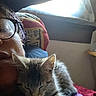person, cat, kitten, glasses, window, blanket, indoor, sleeping, cozy, feline, resting, light, shadow, face, comfort, bedroom, casual, home, relaxation, animal