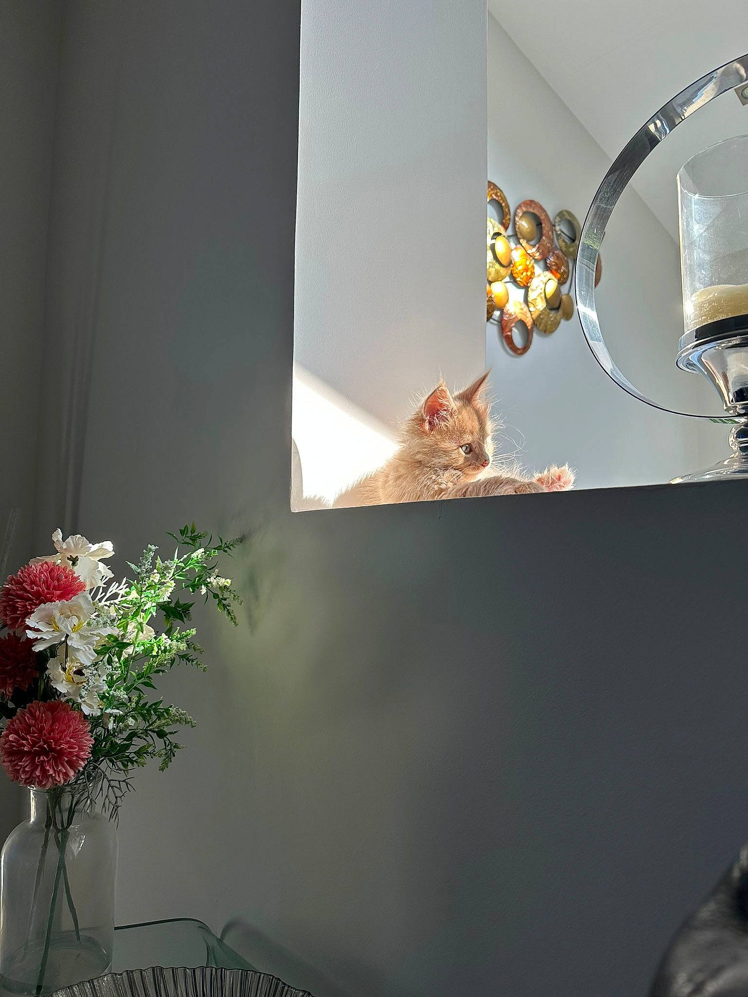 Simba joined the competition — help win amazing prizes! artificial_flower, carnivore, cat, ceiling, fawn, felidae, flower, flower_arranging, interior_design, petal, plant, room, small_to_medium_sized_cats, tail, tints_and_shades, twig, vase, whiskers, window, wood