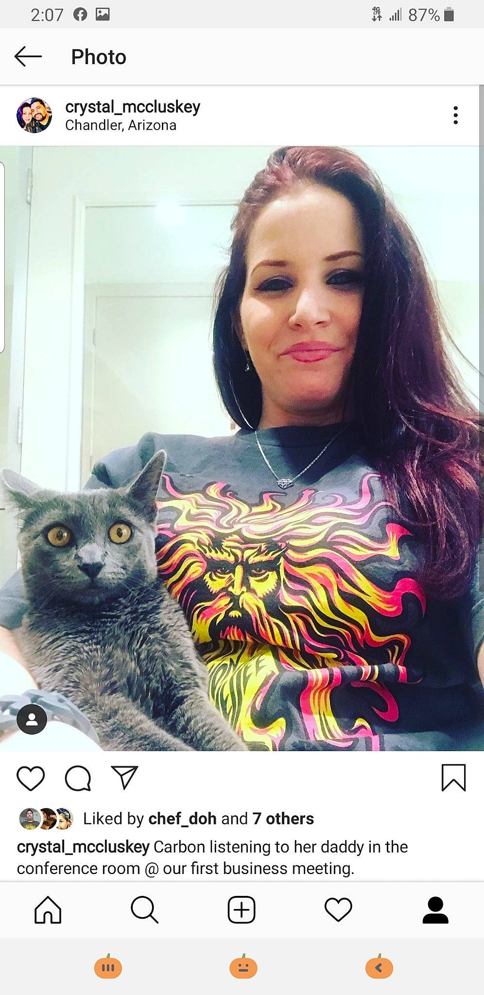 Carbon is registered to the contest to win money with this photo: asian, carnivore, cat, chartreux, domestic_short_haired_cat, european_shorthair, felidae, organism, photo_caption, photography, small_to_medium_sized_cats, whiskers