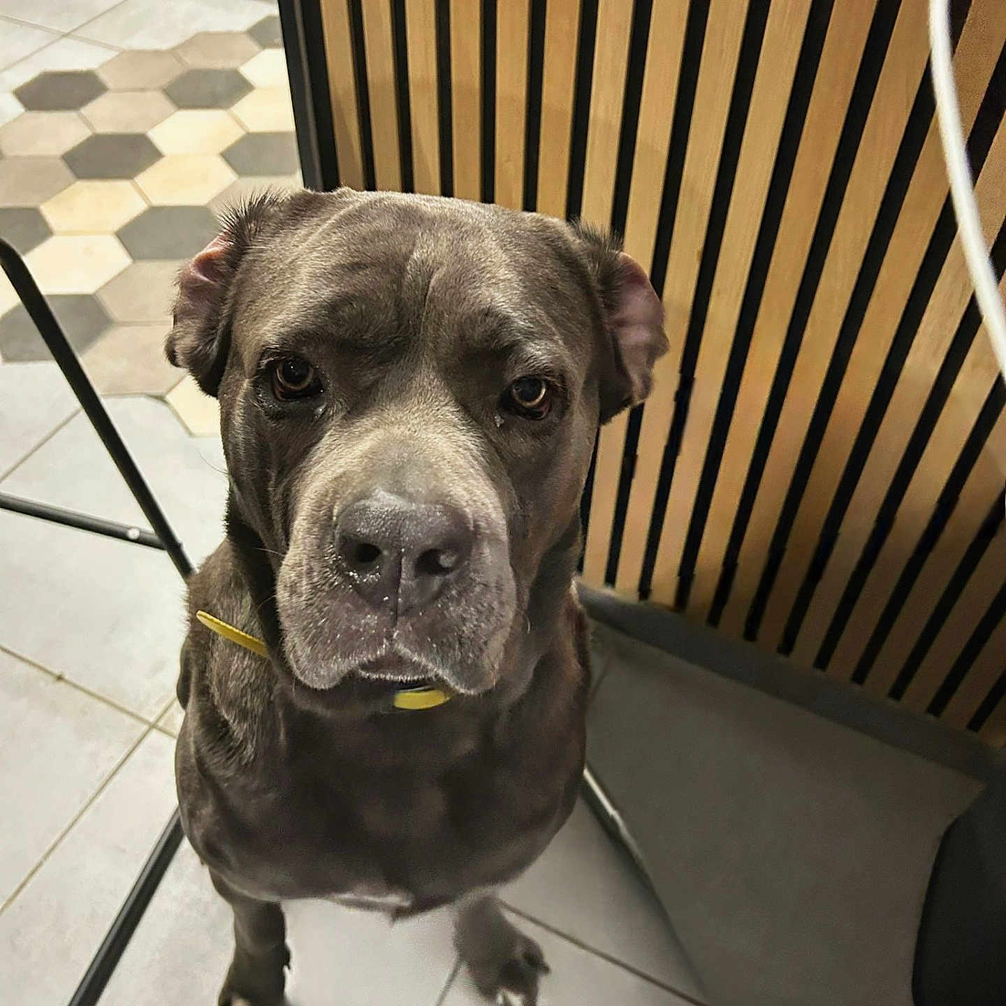Olaf