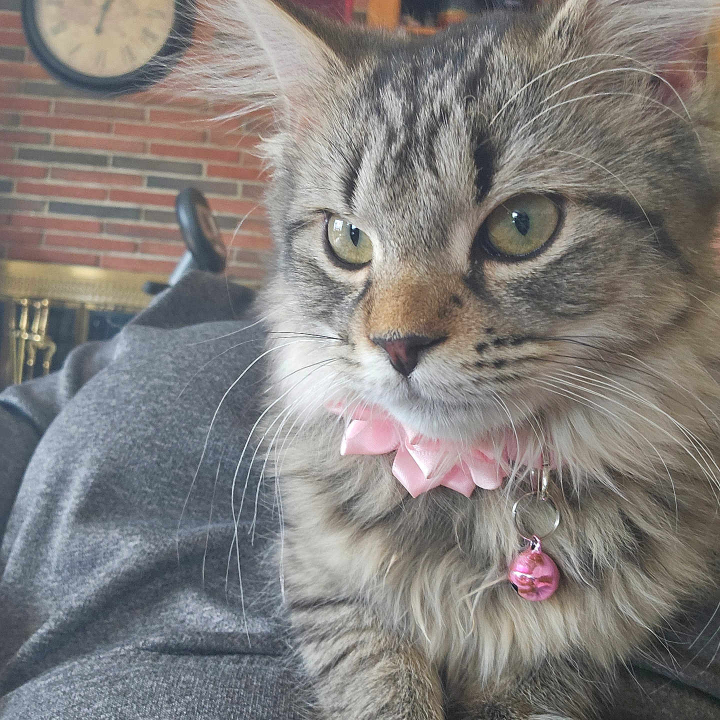 Elle