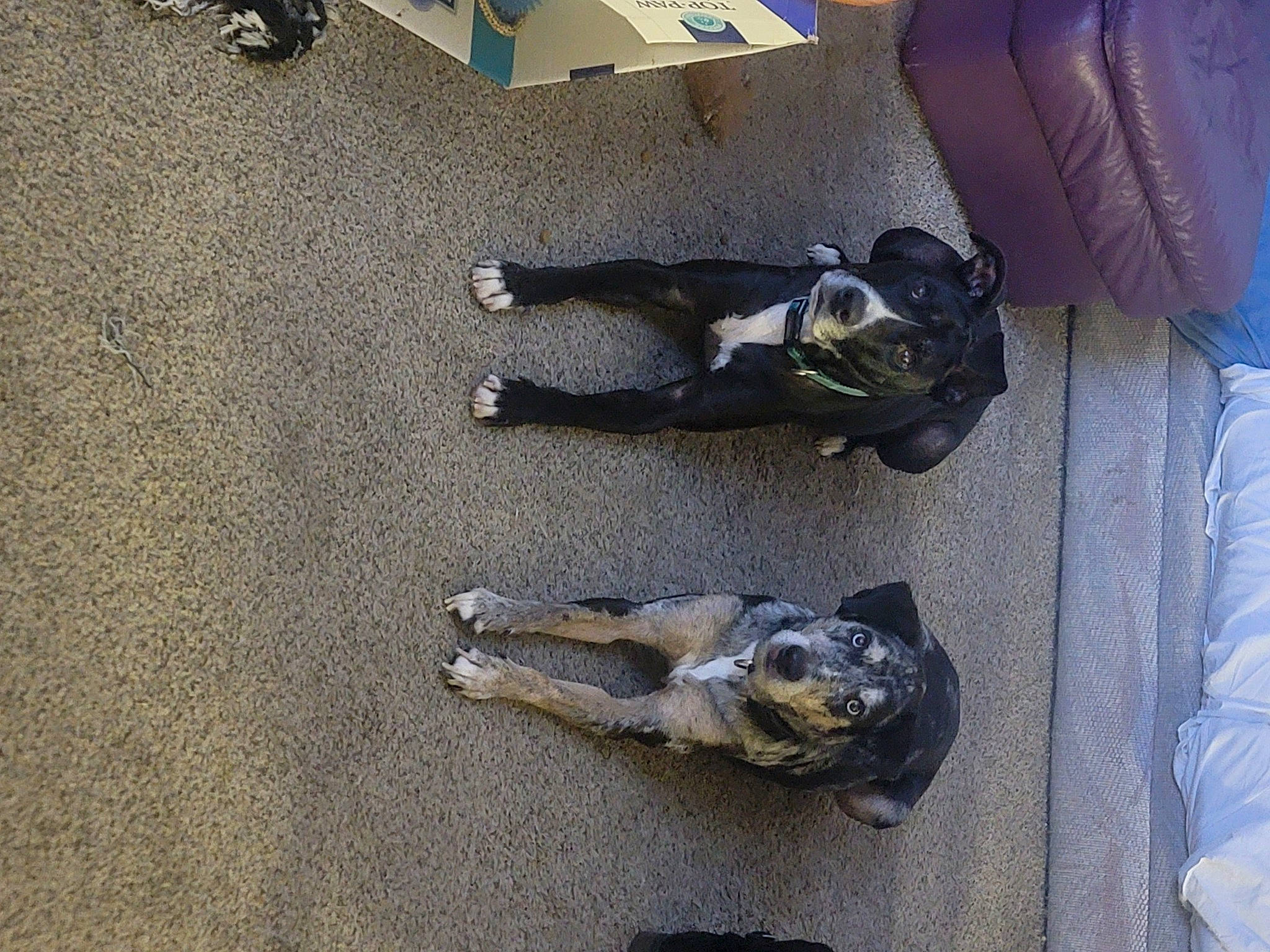 Finix joined the competition — help win amazing prizes! asphalt, auto_part, boot, comfort, concrete, flooring, foot, grey, human_leg, metal, outdoor_shoe, road_surface, shadow, sporting_group, wood