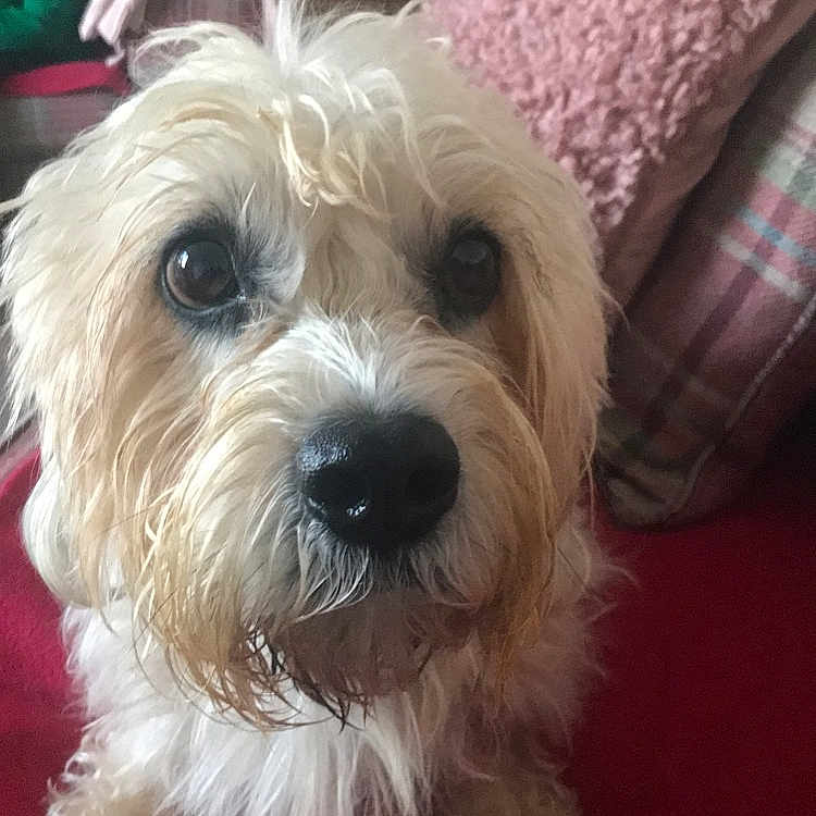 Charlie