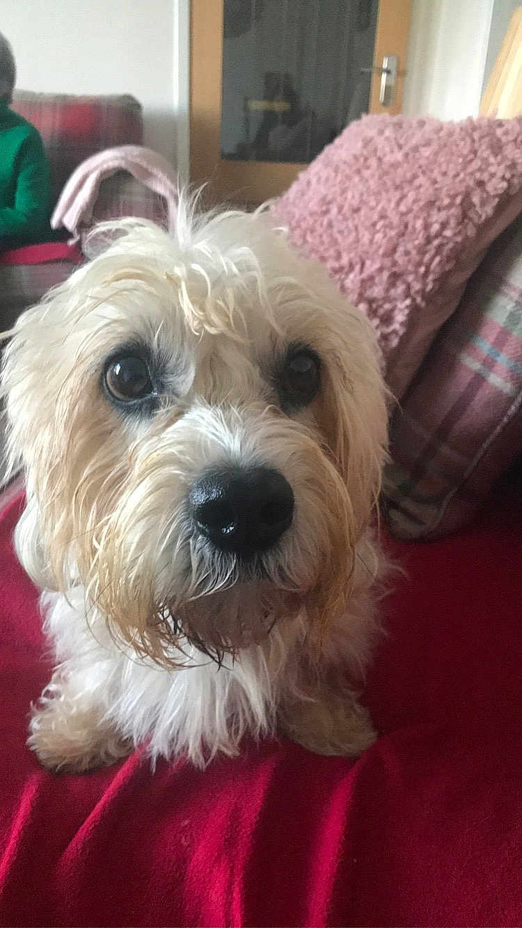 Charlie