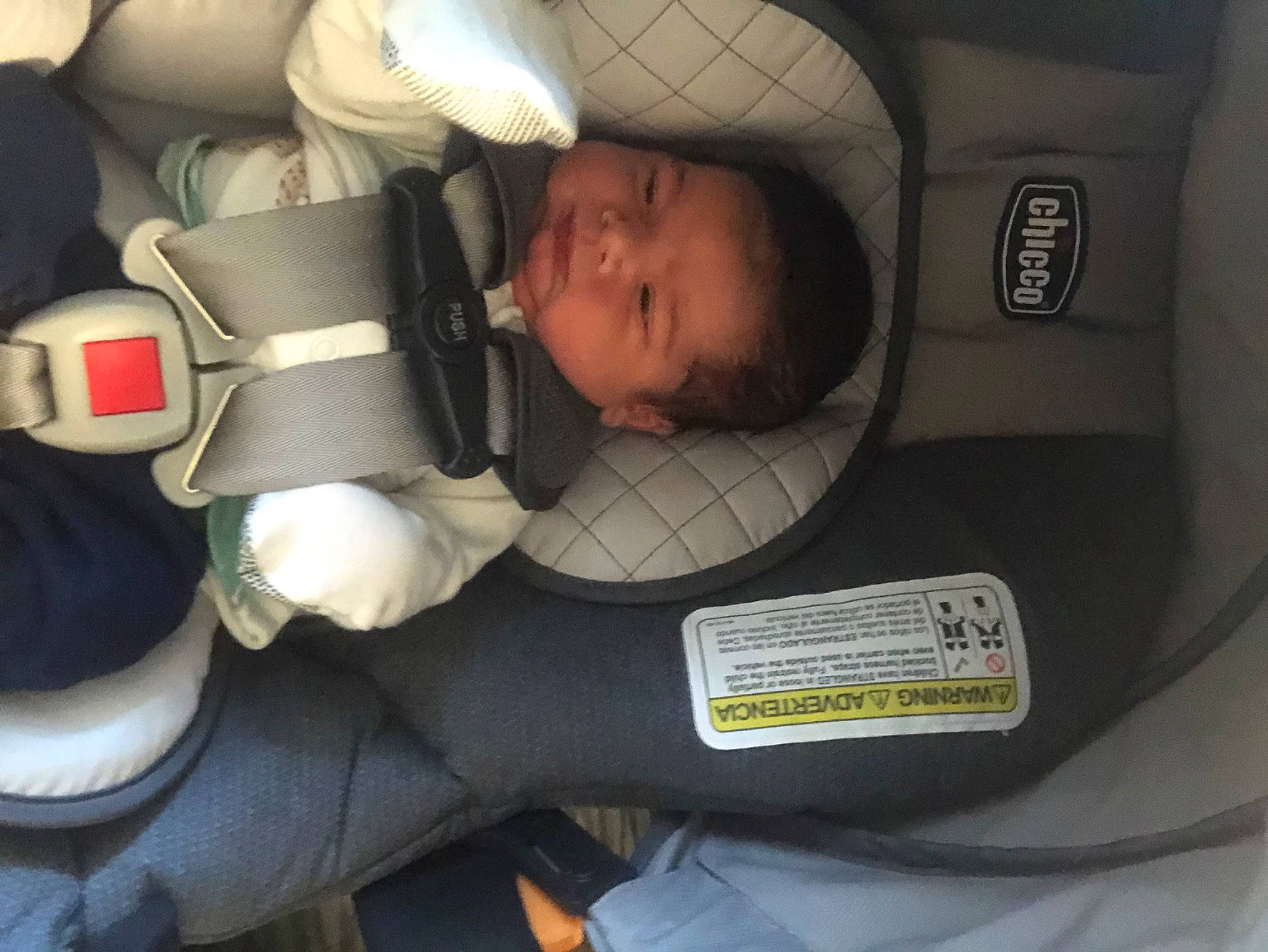 Canaan joined the competition — help win amazing prizes! auto_part, baby, baby_in_car_seat, birth, car, car_seat, car_seat_cover, child, driving, family_car, head_restraint, person, plant, seat_belt, toddler, vehicle