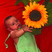 Damir a rejoint le concours — aidez-le/la à gagner de superbes lots ! baby, infant, sunflower, flower, green_clothing, red_background, plant, child, portrait, cute, nature, outdoor, bright_colors, skin, hand, face, eyes, young_child, botanical, growth