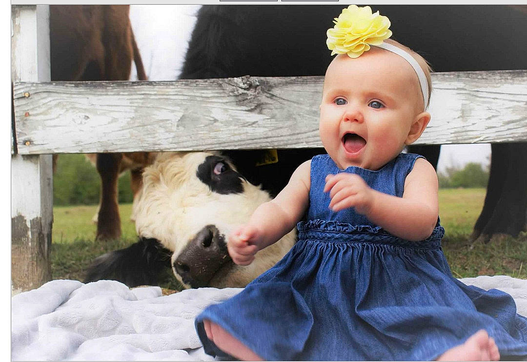 Katherine is registered to the contest to win money with this photo: child, girl, hair_accessory, infant, person, portrait_photography, sitting, toddler