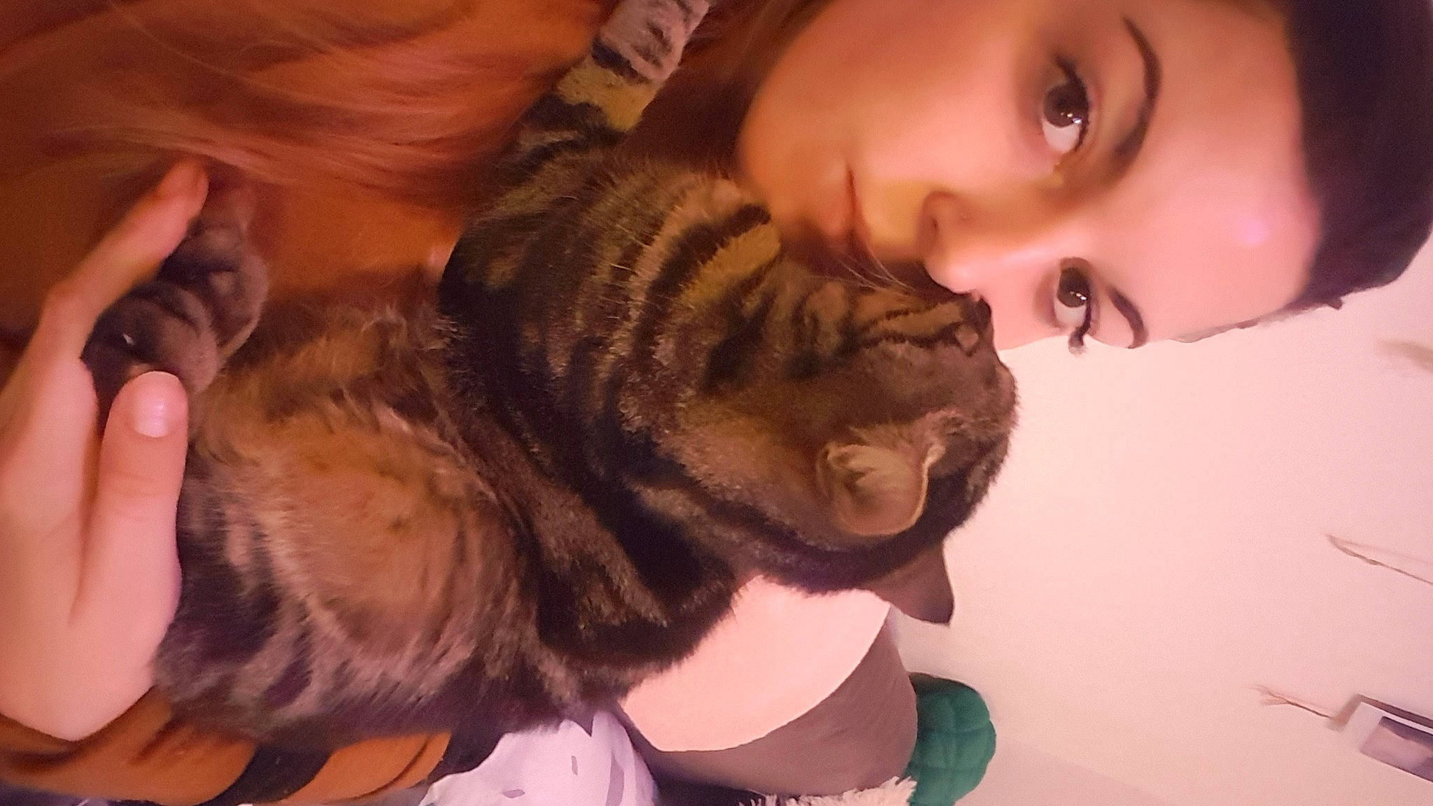 Nilla participe au concours pour gagner de l'argent avec cette photo : canidae, carnivore, cheek, dog, dog_breed, ear, eye, fawn, fur, long_hair, mouth, neck, non_sporting_group, nose, puppy, puppy_love, shar_pei, skin, snout