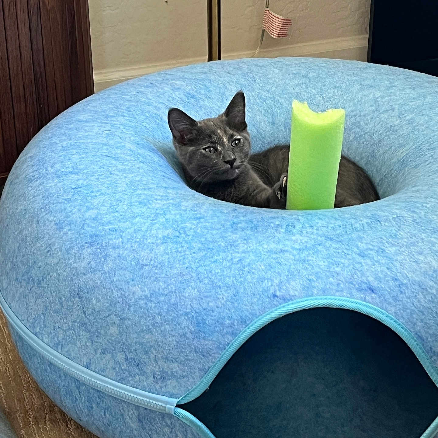 Loki