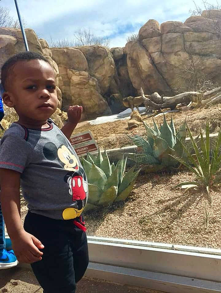 Kristopher joined the competition — help win amazing prizes! adaptation, child, fawn, person, plant, rock, toddler, tourism, travel, vacation