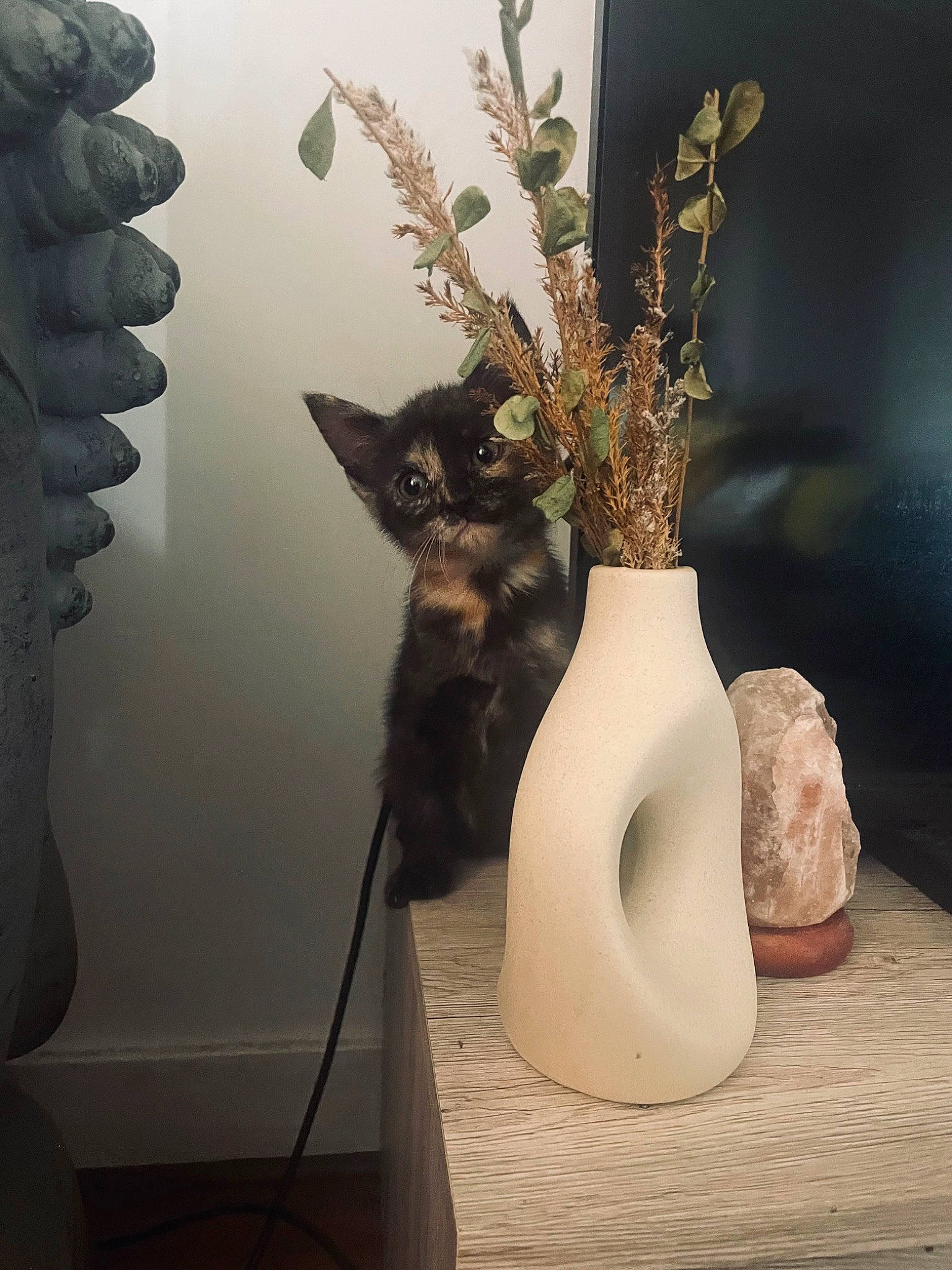 Unko a rejoint le concours — aidez-le/la à gagner de superbes lots ! art, artifact, cat, felidae, floral_design, flowerpot, houseplant, interior_design, mammal, plant, pottery, room, serveware, small_to_medium_sized_cats, still_life_photography, table, twig, vase, whiskers, wood