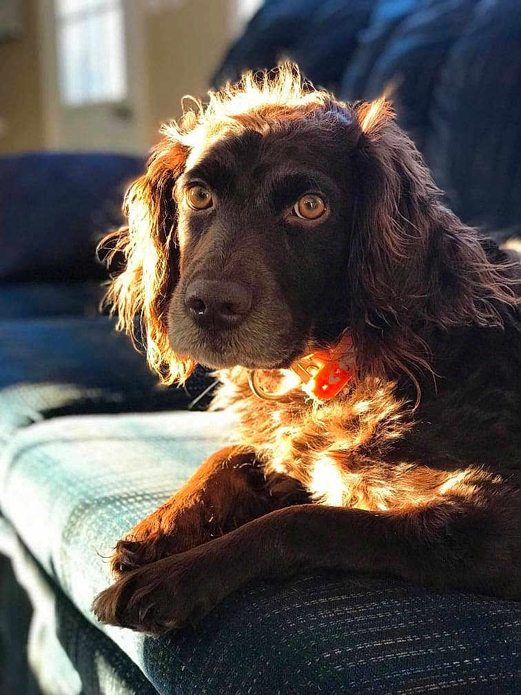 Delta
