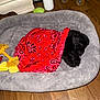 puppy, dog, sleeping, bed, blanket, red_bandana, toy, rope_toy, wooden_floor, indoor, cozy, black_dog, pet, cute, small, animal, resting, soft, sleep, domestic