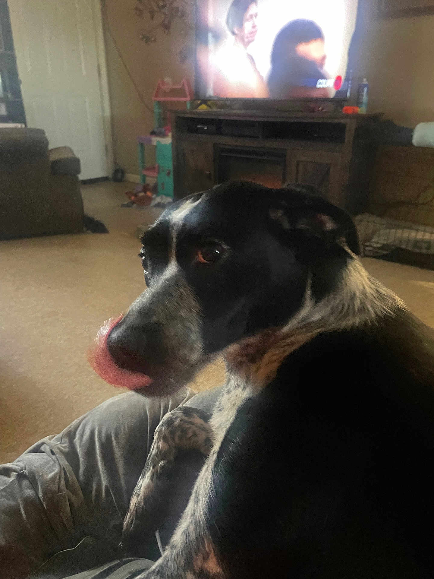 Daisy