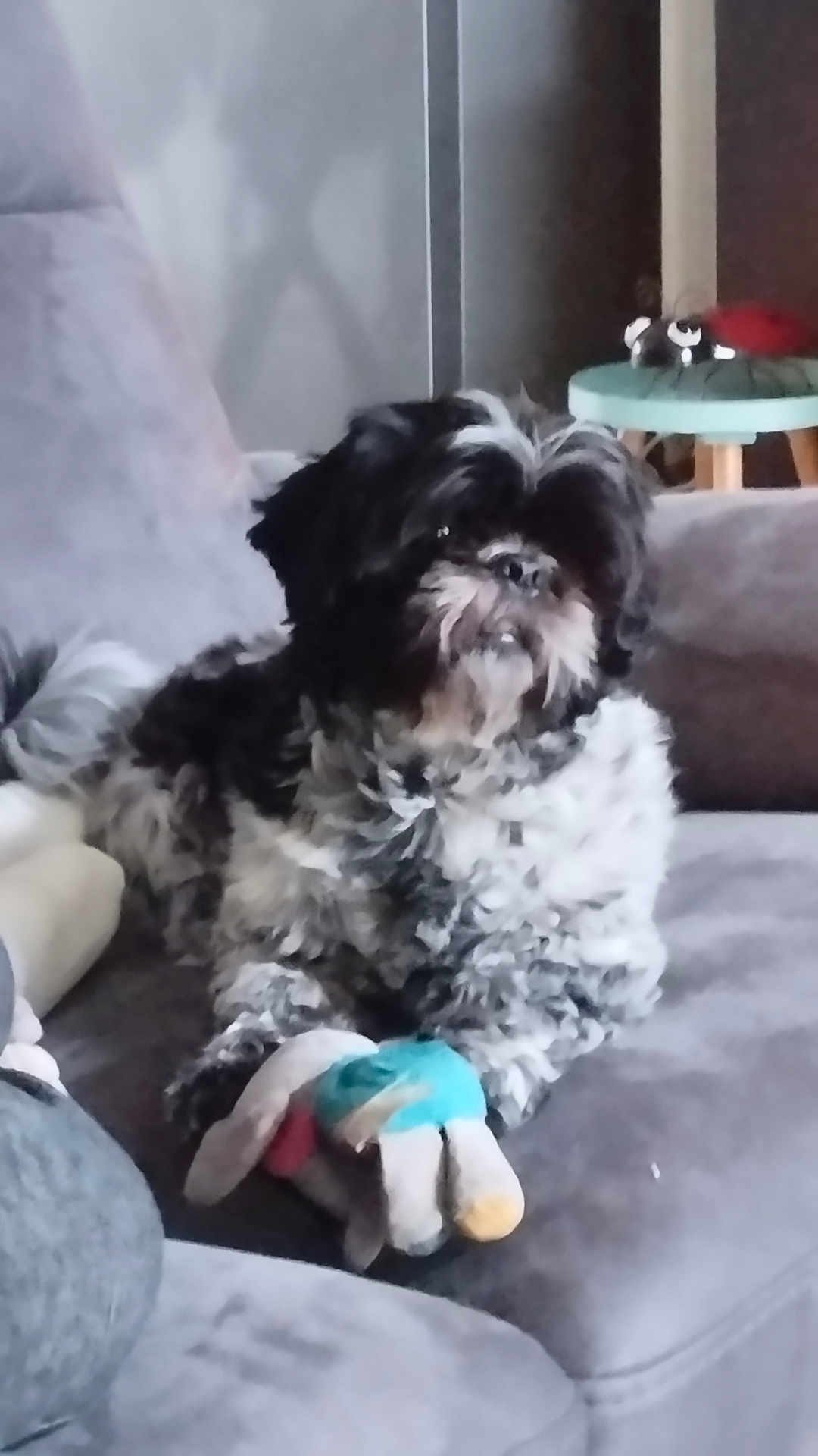 Otis