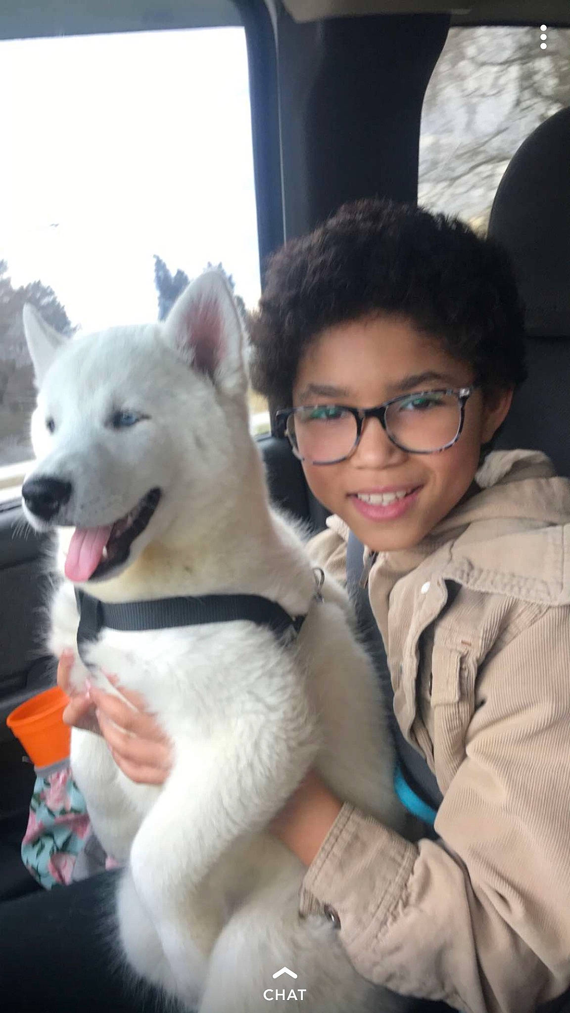 Ariyanna is registered to the contest to win money with this photo: akita_inu, berger_blanc_suisse, canidae, carnivore, companion_dog, dog, dog_breed, glasses, joy, kishu, korean_jindo_dog, labrador_husky, mammal, non_sporting_group, norwegian_buhund, nose, person, rare_breed_dog, shiba_inu, siberian_husky