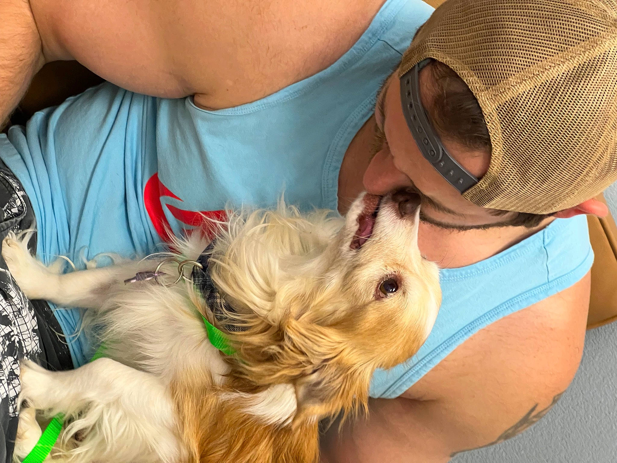 Curtis is registered to the contest to win money with this photo: cap, carnivore, companion_dog, cowboy_hat, dog, dog_breed, dog_supply, eyewear, fashion_accessory, fawn, fedora, fun, goggles, hat, small_terrier, sun_hat, sunglasses, terrier, toy_dog, working_animal