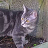 Lola participe au concours pour gagner de l'argent avec cette photo :
