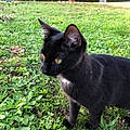 Audrey C.