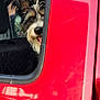 dog, car, window, red_car, pet, fur, ears, tongue, vehicle, peek, curious, outdoor, seat, black_seat_cover, animal, transport, daylight, side_view, muzzle, happy