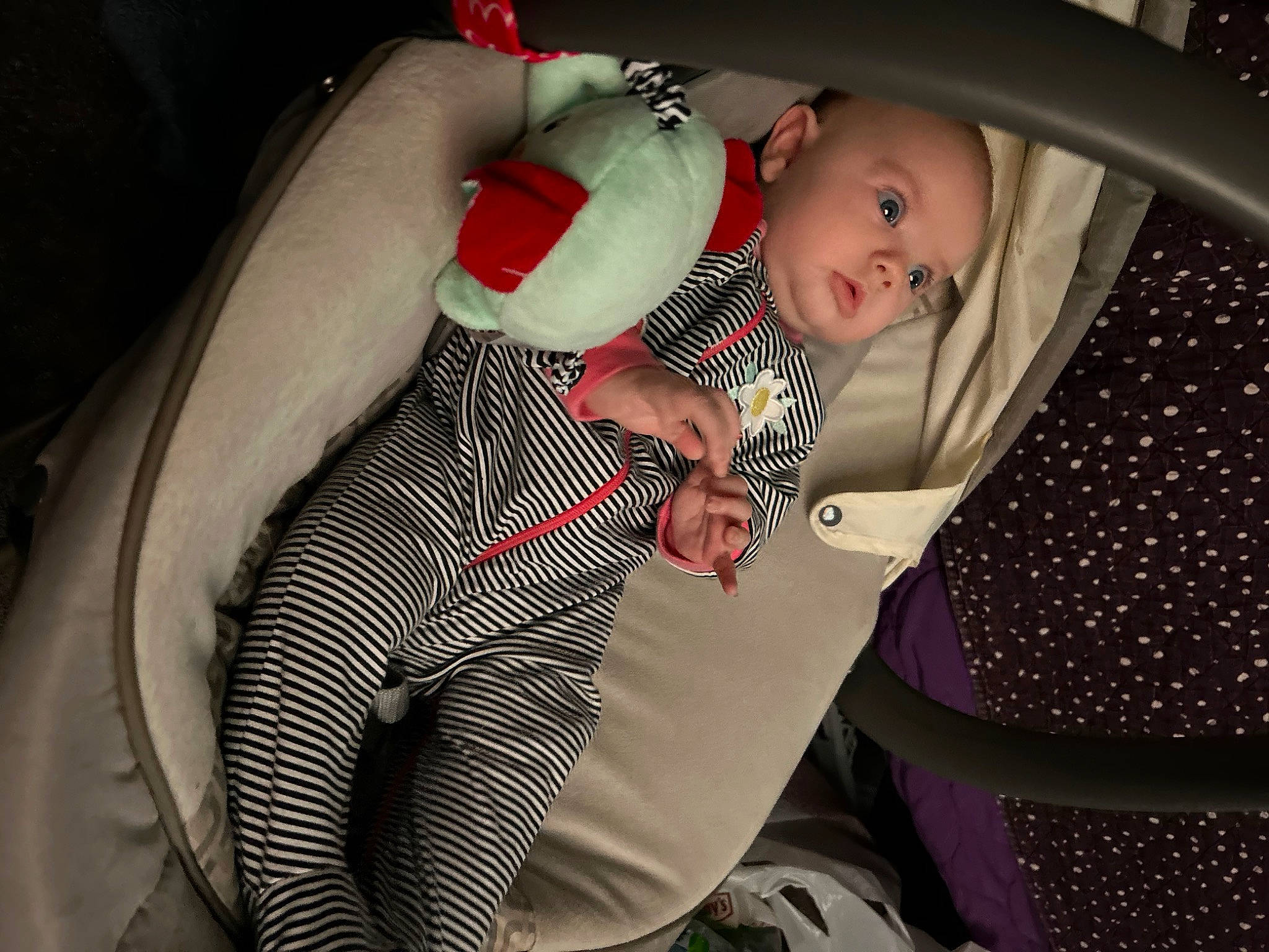 Janet Quinn joined the competition — help win amazing prizes! auto_part, automotive_design, baby, baby_carriage, baby_in_car_seat, baby_products, baby_toddler_clothing, car_seat, car_seat_cover, child, comfort, fun, human_leg, lap, leg, person, seat_belt, smile, thigh, toddler
