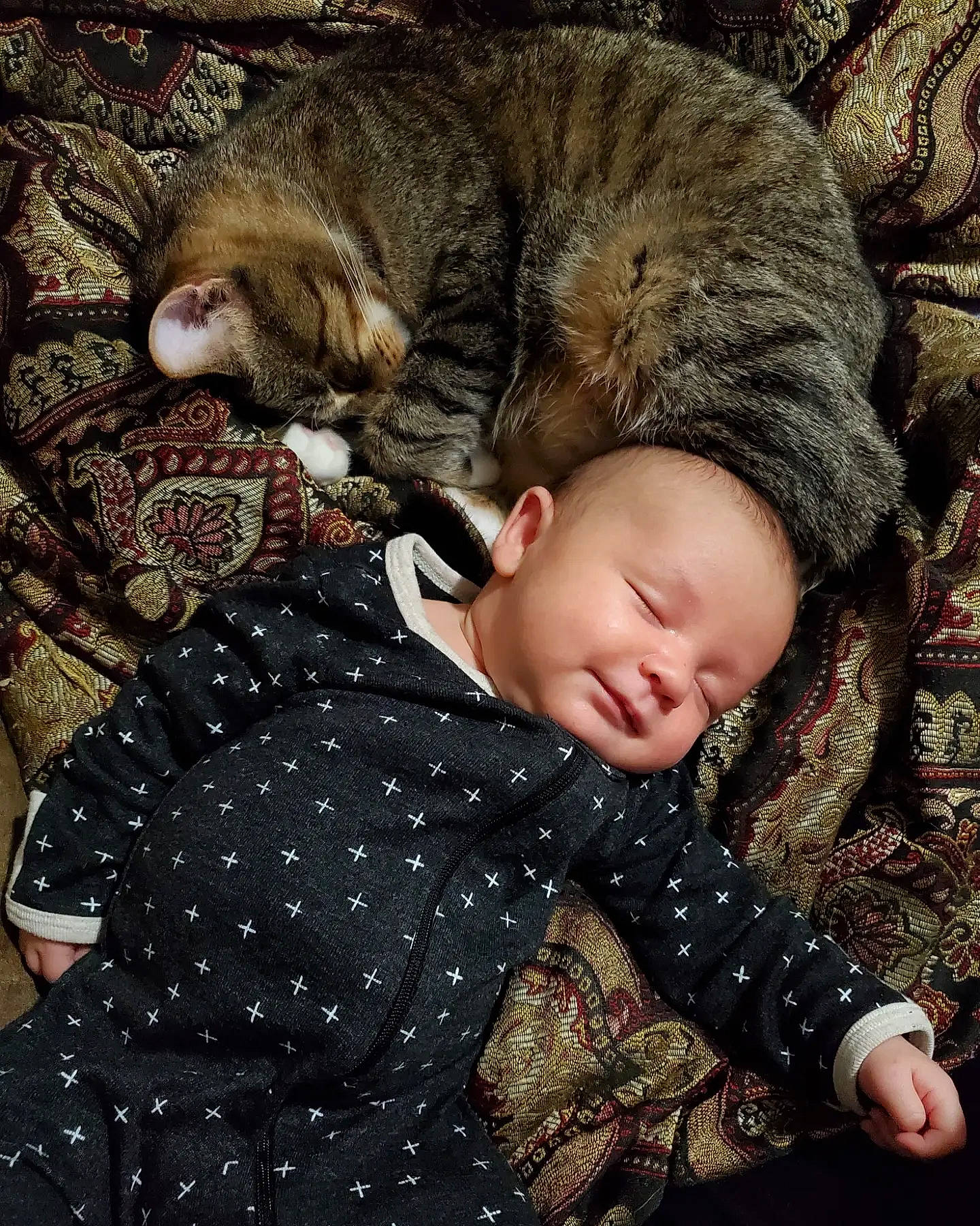 Lucian is registered to the contest to win money with this photo: baby, carnivore, cat, child, comfort, domestic_short_haired_cat, felidae, fur, grass, linens, military_camouflage, nap, pattern, person, sitting, small_to_medium_sized_cats, textile, toddler, tree, whiskers