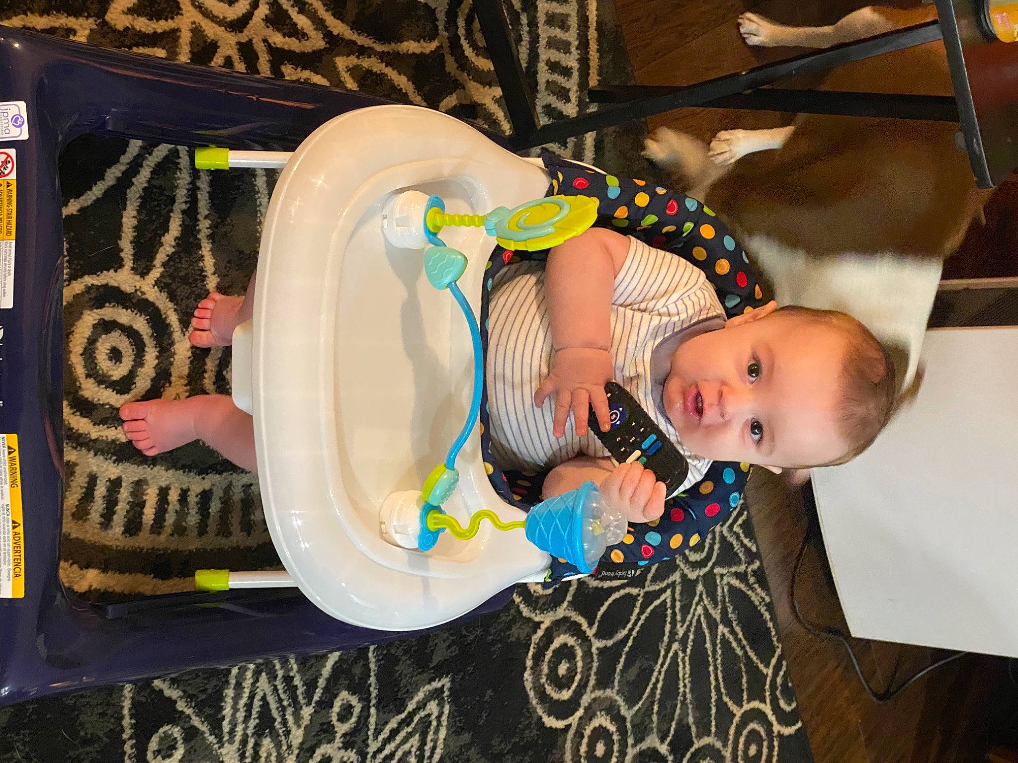 Myles is registered to the contest to win money with this photo: baby, baby_products, baby_toddler_clothing, child, comfort, fashion_accessory, fun, happy, hat, headgear, pattern, person, room, toddler, visual_arts, wood