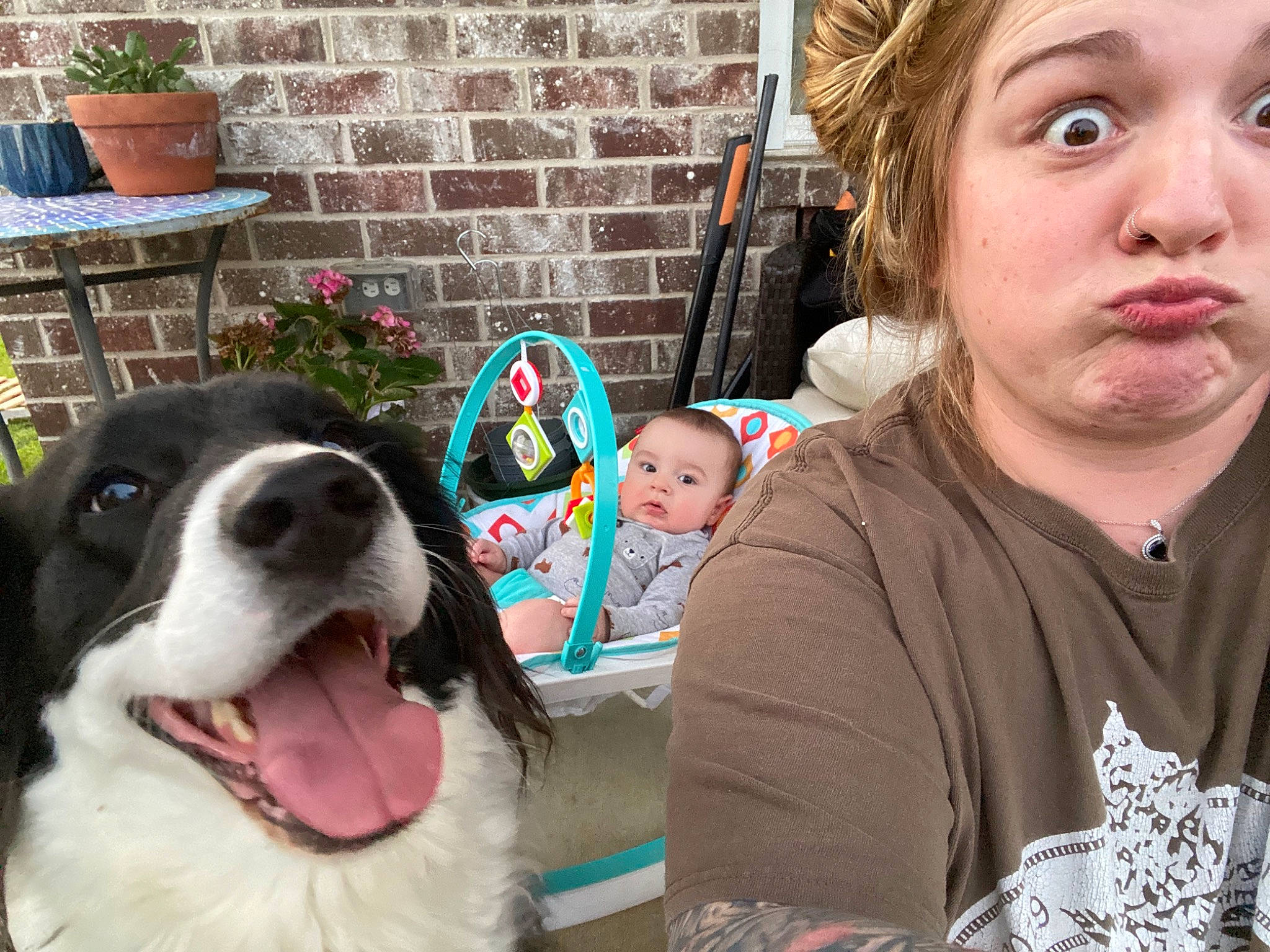 Myles joined the competition — help win amazing prizes! carnivore, companion_dog, dog, dog_breed, event, eye, flowerpot, fun, fur, happy, head, houseplant, mammal, nose, organ, person, plant, sporting_group, t_shirt, toddler