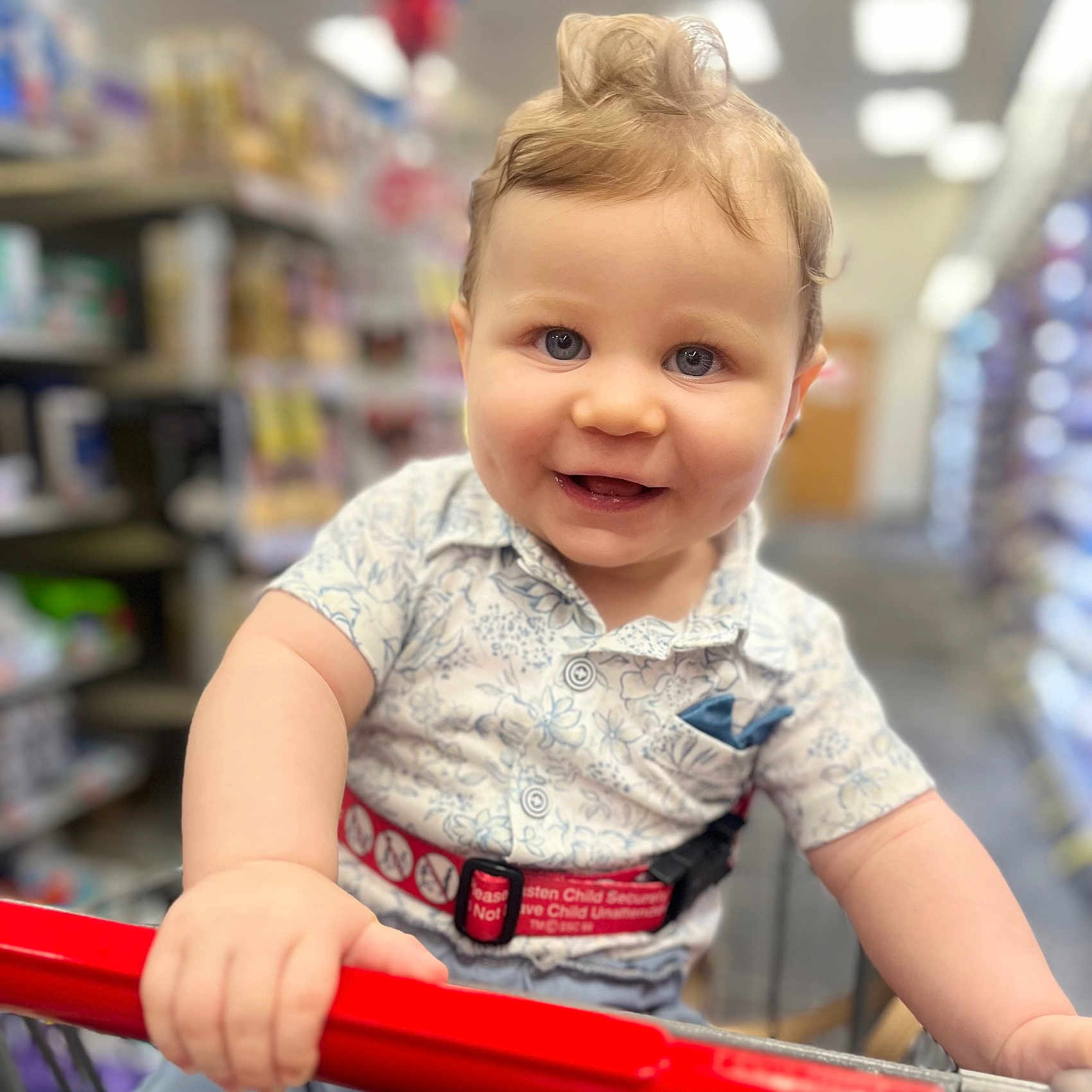 Levy joined the competition — help win amazing prizes! baby, toddler, child, shopping_cart, smile, blue_eyes, clothing, shirt, hair, hand, grocery_store, aisle, blurred_background, indoor, happy, portrait, cute, person, retail, shopping