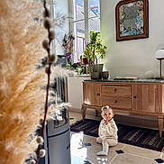 Léopold participe au concours pour gagner de l'argent avec cette photo : toddler, child, indoor, floor, wooden_cabinet, plants, window, natural_light, shadow, rug, pampas_grass, pussy_willow, artwork, lamp, curious, sitting, striped_sock, portrait, home_decor, thoughtful