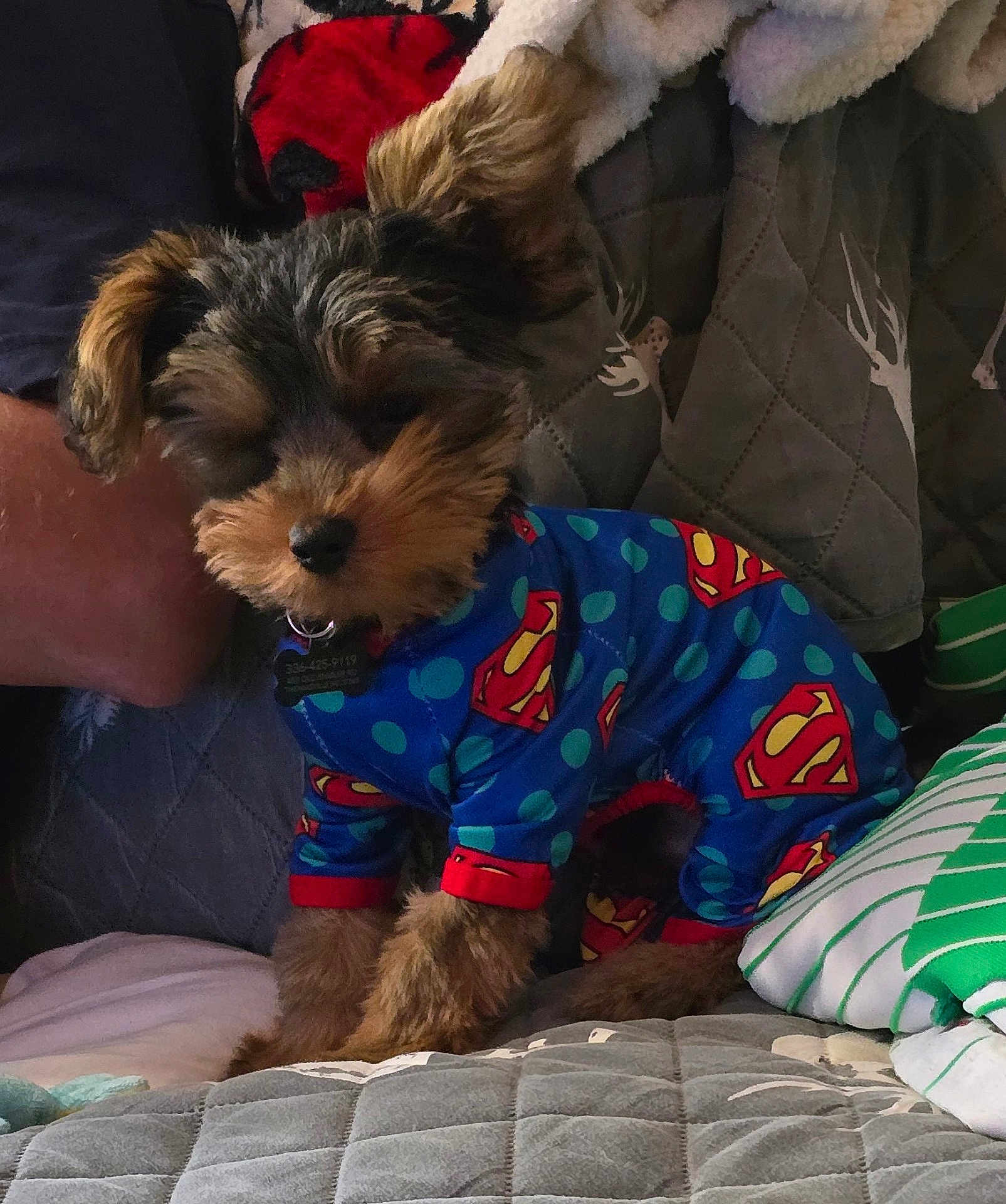 Milo