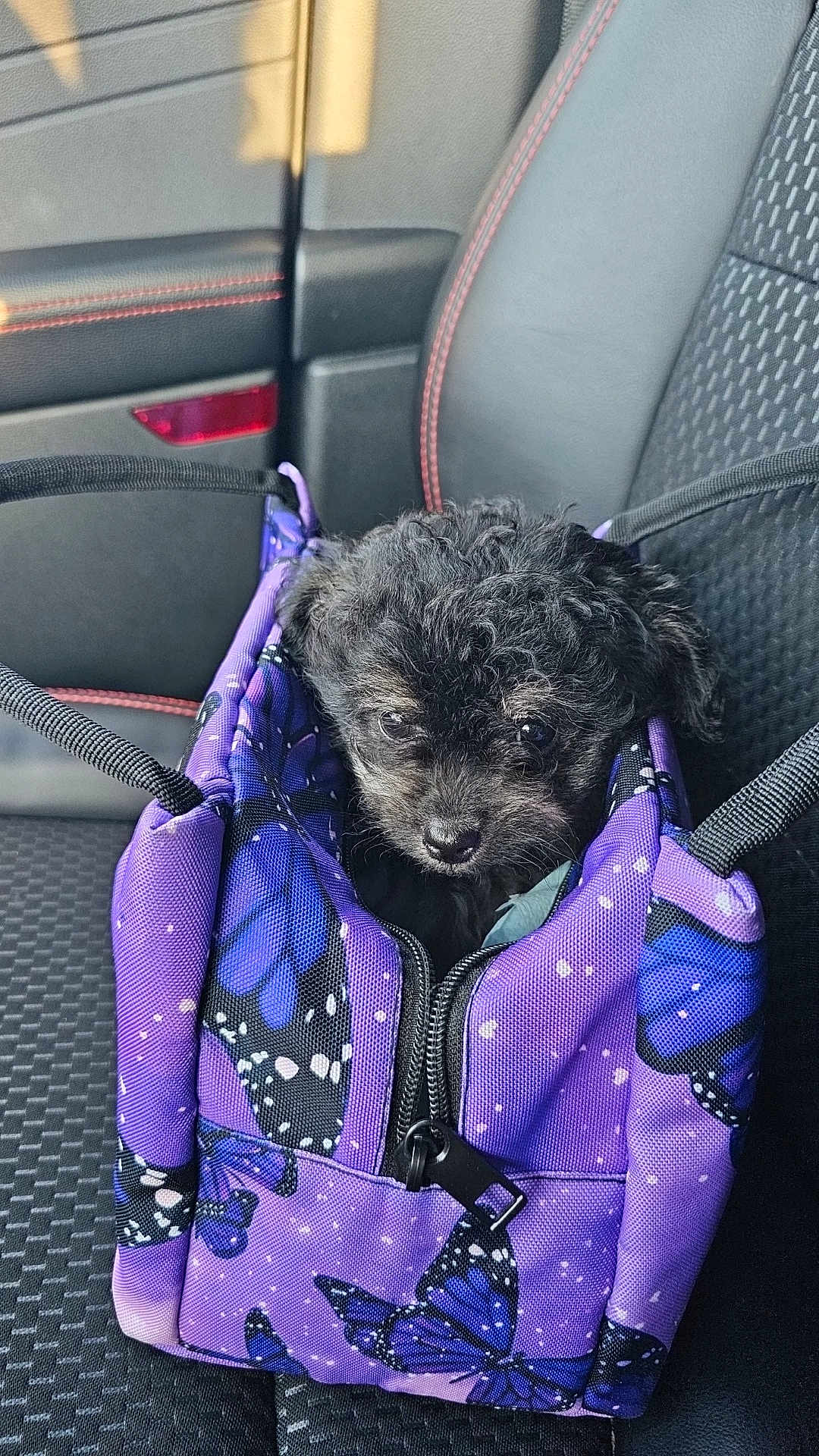 Loki