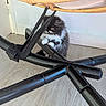 Brownie participe au concours pour gagner de l'argent avec cette photo : cat, kitten, black_and_white, fluffy, long_hair, fur, whiskers, eyes, paws, sitting, indoors, floor, wood_floor, furniture, folding_stand, black_frame, straps, door, wall, pet
