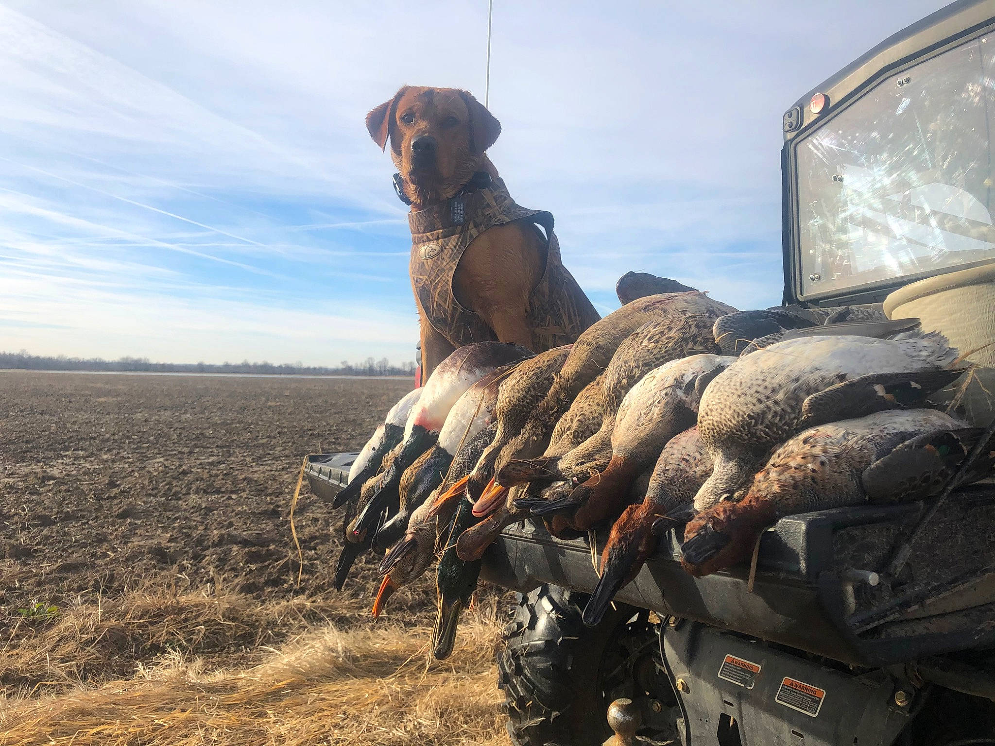 Buck joined the competition — help win amazing prizes! auto_part, automotive_exterior, automotive_tire, automotive_wheel_system, cloud, dog, landscape, machine, marines, motor_vehicle, recreation, sky, soil, tire, tread, tree, vehicle, wheel, wood, working_animal