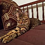 Minou participe au concours pour gagner de l'argent avec cette photo : cat, tabby_cat, stretching, couch, pillow, indoor, furniture, pet, animal, brown, striped, relaxed, resting, whiskers, ears, feline, close_up, home, cozy, sleepy
