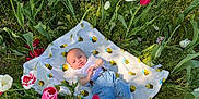 Xyleek is registered to the contest to win money with this photo: baby, blanket, bee_pattern, tulip, flower, garden, grass, greenery, outdoor, nature, infant, child, sunlight, plants, spring, colorful, cute, lying_down, peaceful, portrait