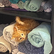 Simba is registered to the contest to win money with this photo: animal, cat, cozy, curious, cute, domestic, fur, furniture, indoor, kitten, orange_cat, pet, playful, resting, rolled_towels, shelf, soft, stack, towels, whiskers