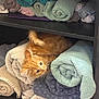 animal, cat, cozy, curious, cute, domestic, fur, furniture, indoor, kitten, orange_cat, pet, playful, resting, rolled_towels, shelf, soft, stack, towels, whiskers