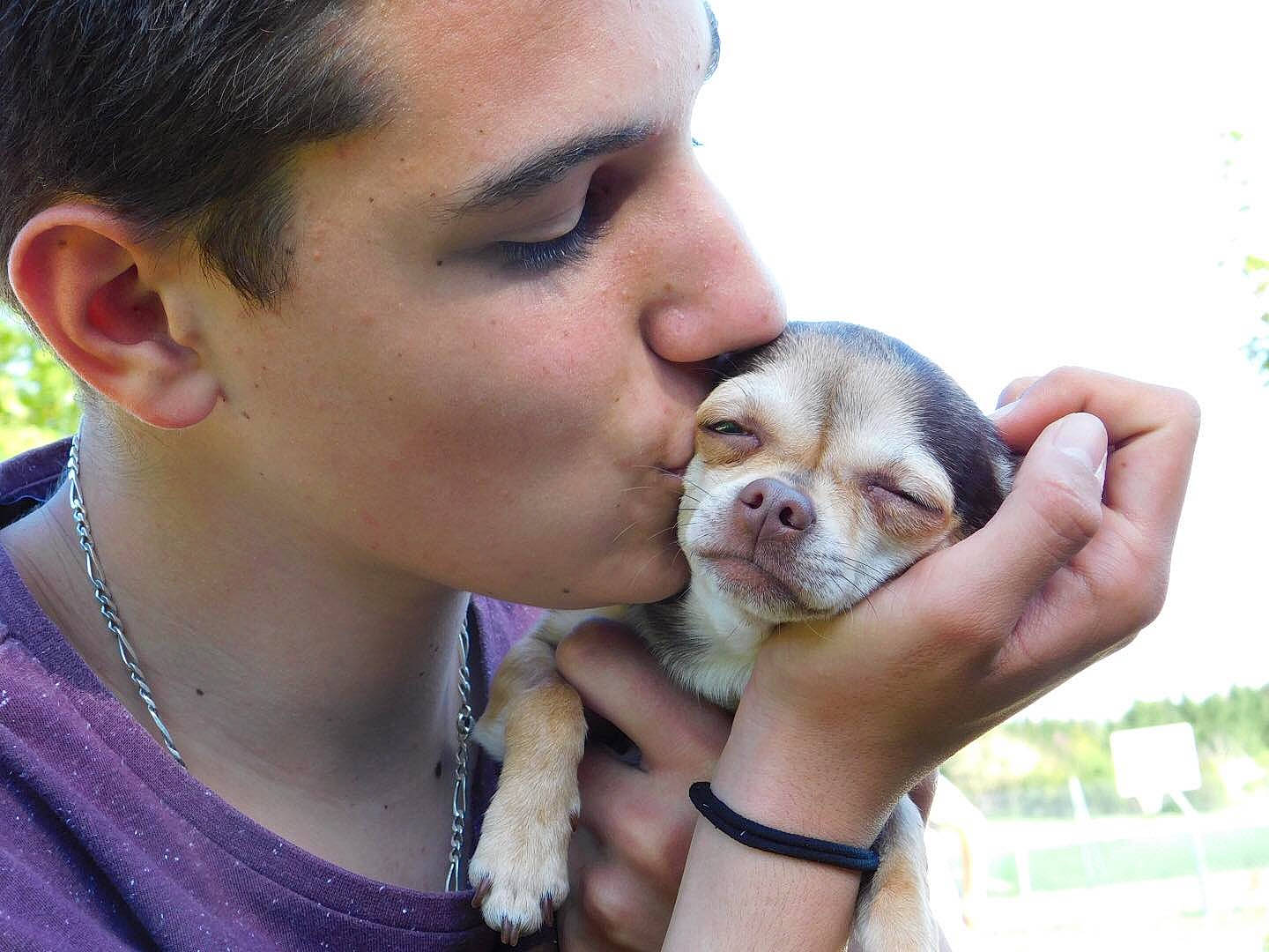 Nino participe au concours pour gagner de l'argent avec cette photo : carnivoran, companion_dog, dog, dog_breed, dog_breed_group, dog_like_mammal, ear, mammal, nose, person, puppy, puppy_love, skin, smile, snout, vertebrate