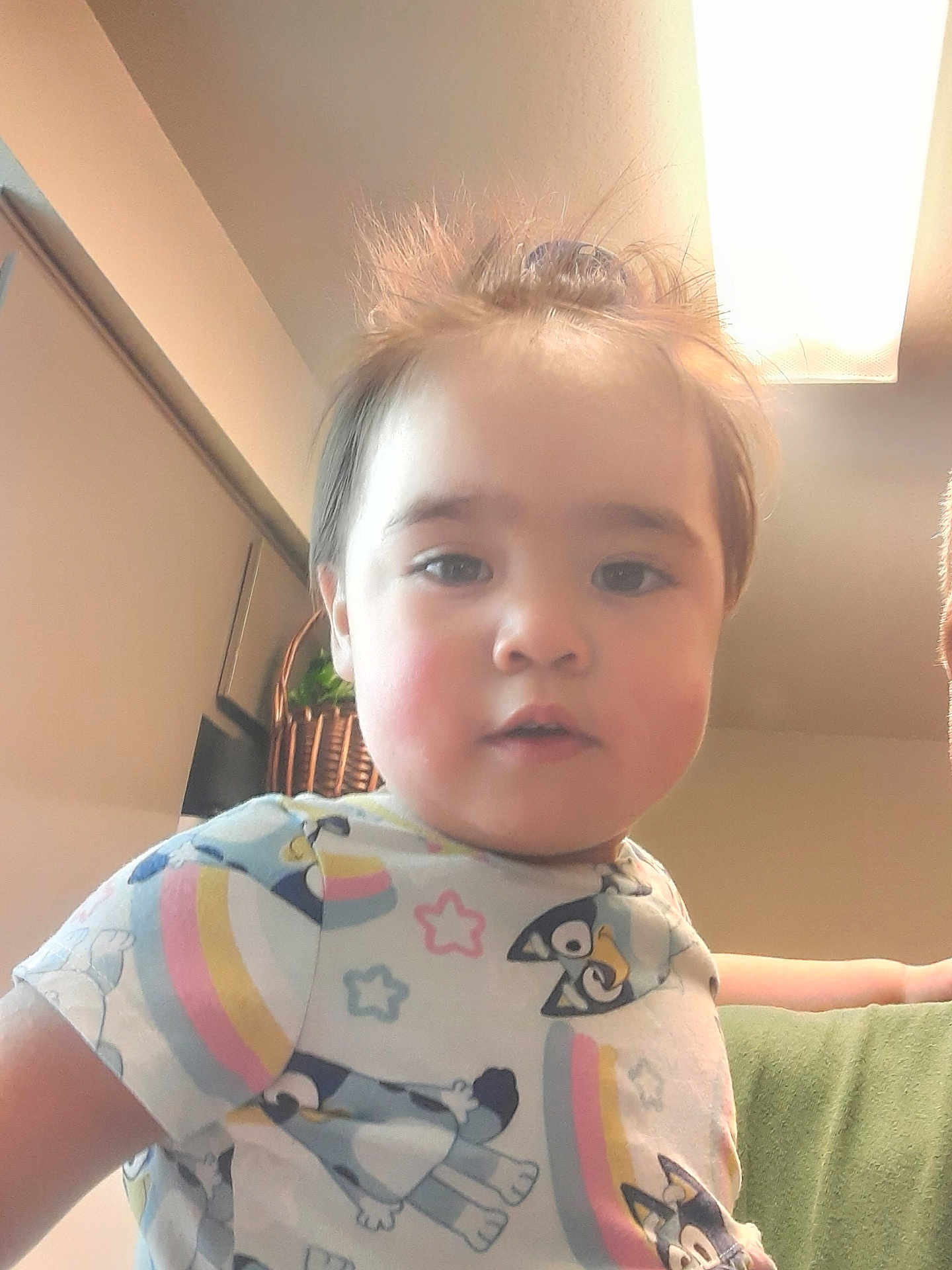 Nayeli joined the competition — help win amazing prizes! baby, background, basket, cartoon, casual, ceiling_light, child, colorful_clothing, curious, dog, face, furniture, hair, indoor, person, portrait, rainbow, short_sleeve_shirt, toddler, young_child