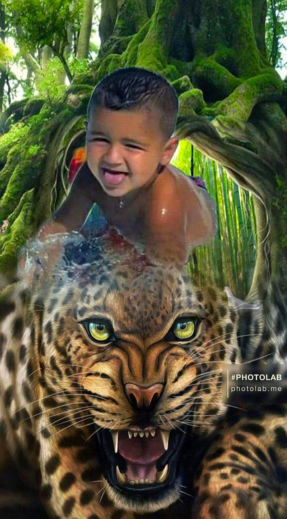 Willyam a rejoint le concours — aidez-le/la à gagner de superbes lots ! adaptation, big_cats, carnivore, fawn, felidae, grass, green, head, human_body, nature, organ, organism, person, photograph, plant, siberian_tiger, small_to_medium_sized_cats, snout, terrestrial_animal, terrestrial_plant