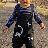 Dalthon is registered to the contest to win money with this photo: toddler, child, walking, outdoor, path, overalls, dinosaur, sneakers, park, trees, bridge, sunlight, smiling, person, nature, casual_clothing, daytime, cute, young_child, fashion