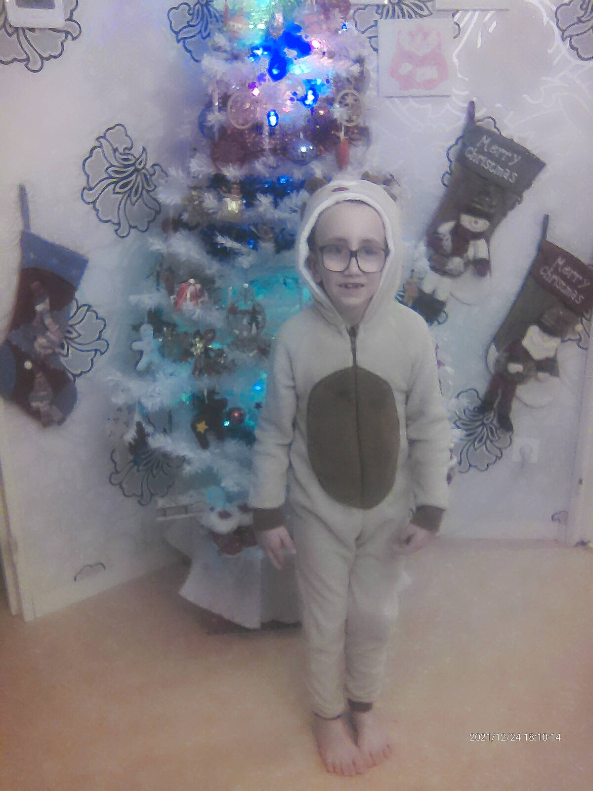 Miguel participe au concours pour gagner de l'argent avec cette photo : art, blue, christmas, christmas_decoration, christmas_eve, christmas_lights, christmas_ornament, christmas_tree, conifer, event, eyewear, fun, holiday, holiday_ornament, interior_design, ornament, person, plant, smile, tree